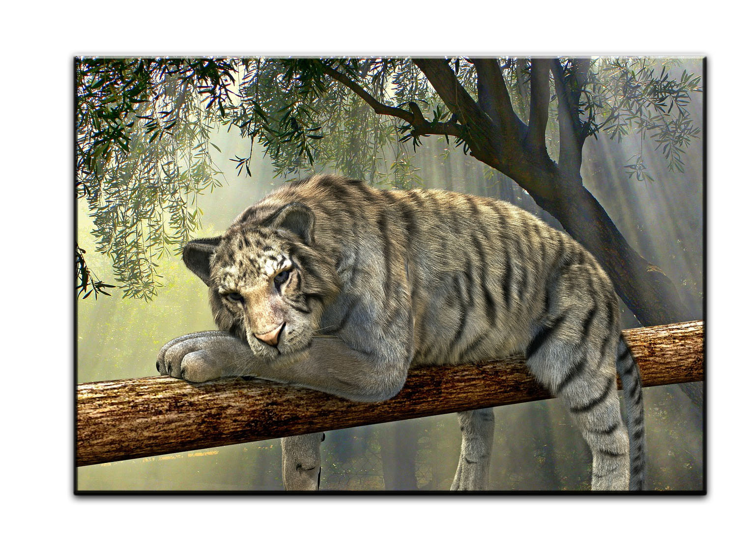 Leinwandbild Wandbild Tiere Tiger Wald  Natur